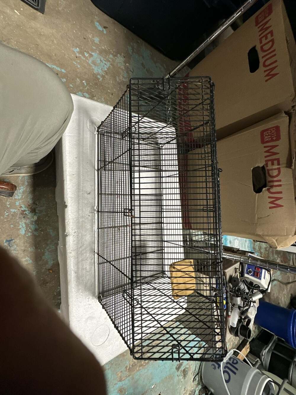Small Animal Wire Cage with Hanging Platform 19x10x12